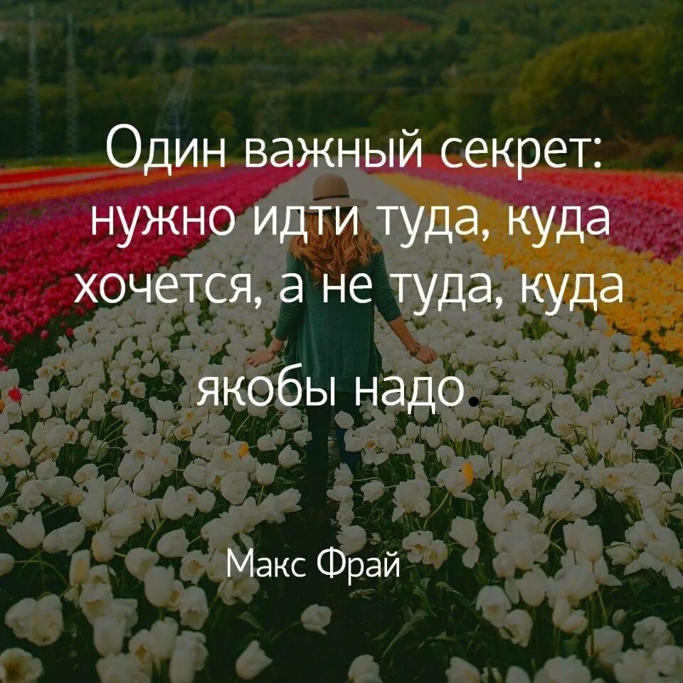 Куда хочу туда иду. Нужно идти туда куда хочется а не туда куда якобы надо. один важный секрет нужно идти туда куда. важный секрет.