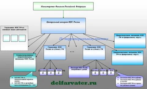 Схема подчиненности органов