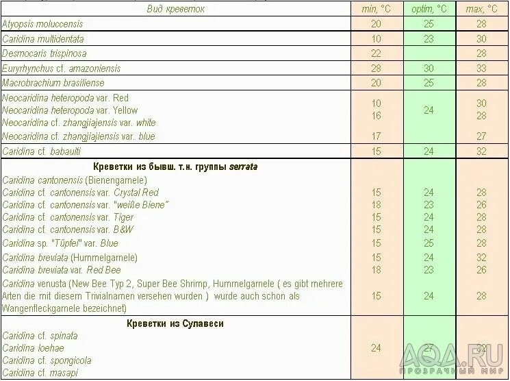 Таблица креветок. Показатели воды для креветок. Размер креветок таблица. Креветки по размерам таблица.