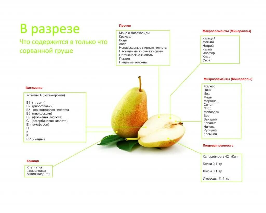 Груша польза. Груша конференция калорийность на 100 грамм калорийность. Груша конференция калорийность. Энергетическая ценность груши. Калорийность груши конференция в 100 граммах.