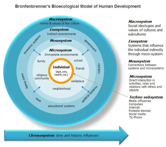 Ури Бронфенбреннер. Бронфенбреннер экологическая модель. Модель экологических систем Ури Бронфенбреннера. Теория Бронфенбреннера.
