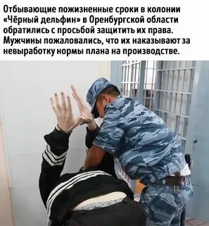 Сеющий почему ю