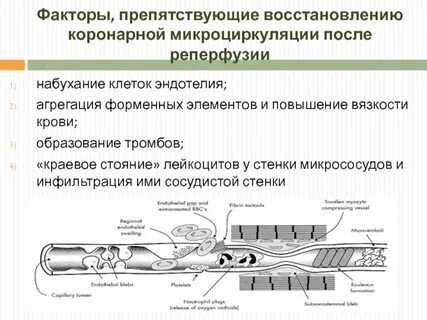 Как восстановить рецепторы