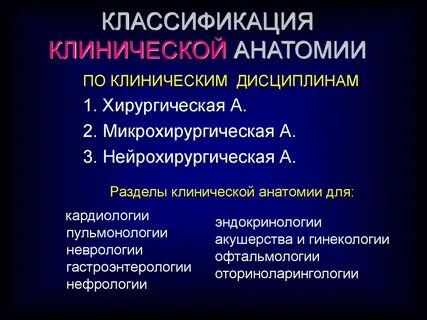 Клиническая анатомия