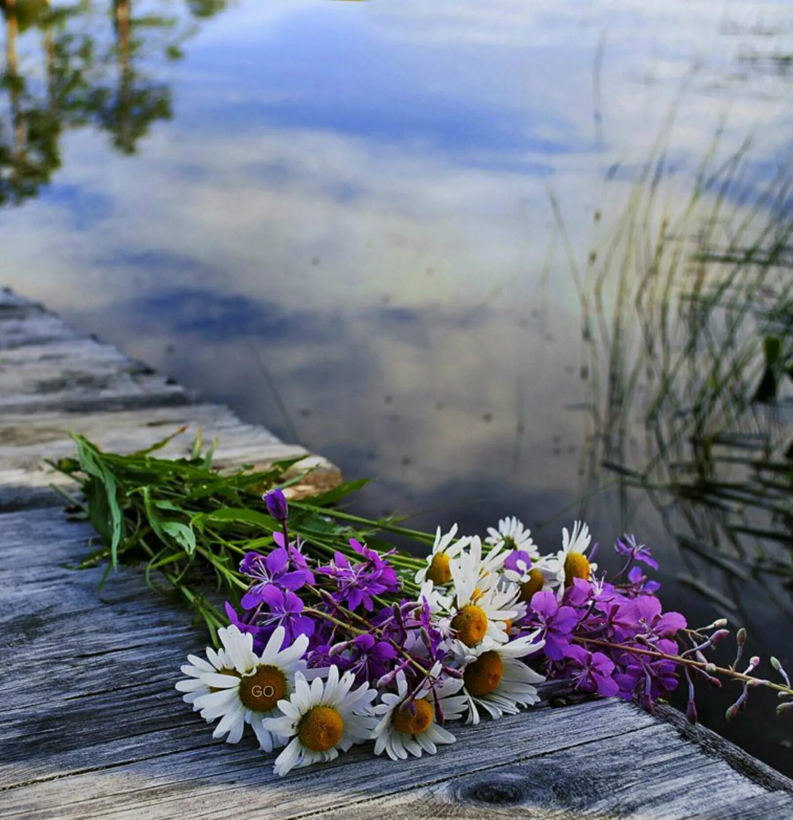 Цветы у реки. Полевые цветы. Цветы на берегу реки. Красивый букет цветов на природе.