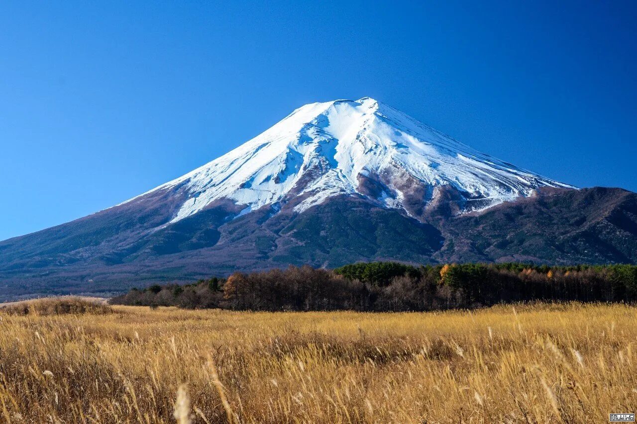 Какой вулкан самая высокая точка россии. Гора Фудзияма в Японии. Гора Фудзи (остров Хонсю). Yaponiya futziyama vulqoni. Гора Фудзи это вулкан.