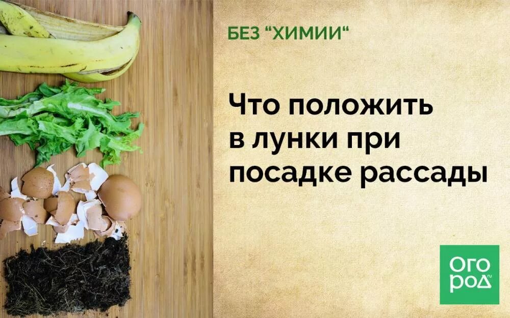 Что сыпать в лунки при посадке капусты. Что положить в лунку при посадке рассады?. что класть в лунку при посадке. что положить в лунку при посадке огурцов. что положить в лунку при посадке огурцов в открытый грунт.