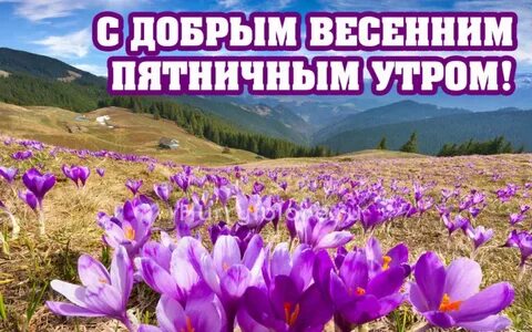 Доброе утро весенней пятницы картинки