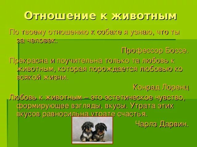 Доброе отношение к животным сочинение аргументы. Пословицы об отношении человека к животным. Пословицы о добром отношении к животным. Пословицы о заботе о животных. Пословицы о любви к животным.