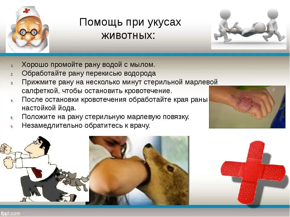 Что делать если вас укусила собака. Первая помощь при укусе животного. Укус собаки первая помощь. Буклет профилактика бешенства. Оказание первой помощи при укусе собаки.