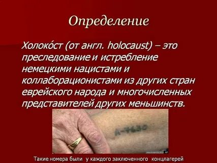 Краткая история холокоста
