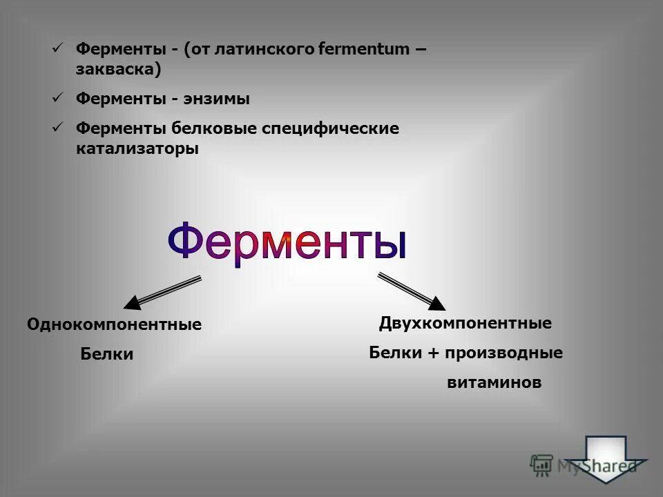 Эволюция белков ферментов