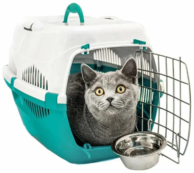 Zoom. Авито димитровград товары для животных. Кормоизмельчитель колос 3 в 1. Wifi ошейник купить в димитровграде. Триол 41811002 переноска д/грызунов 21,5*11,5*14см.