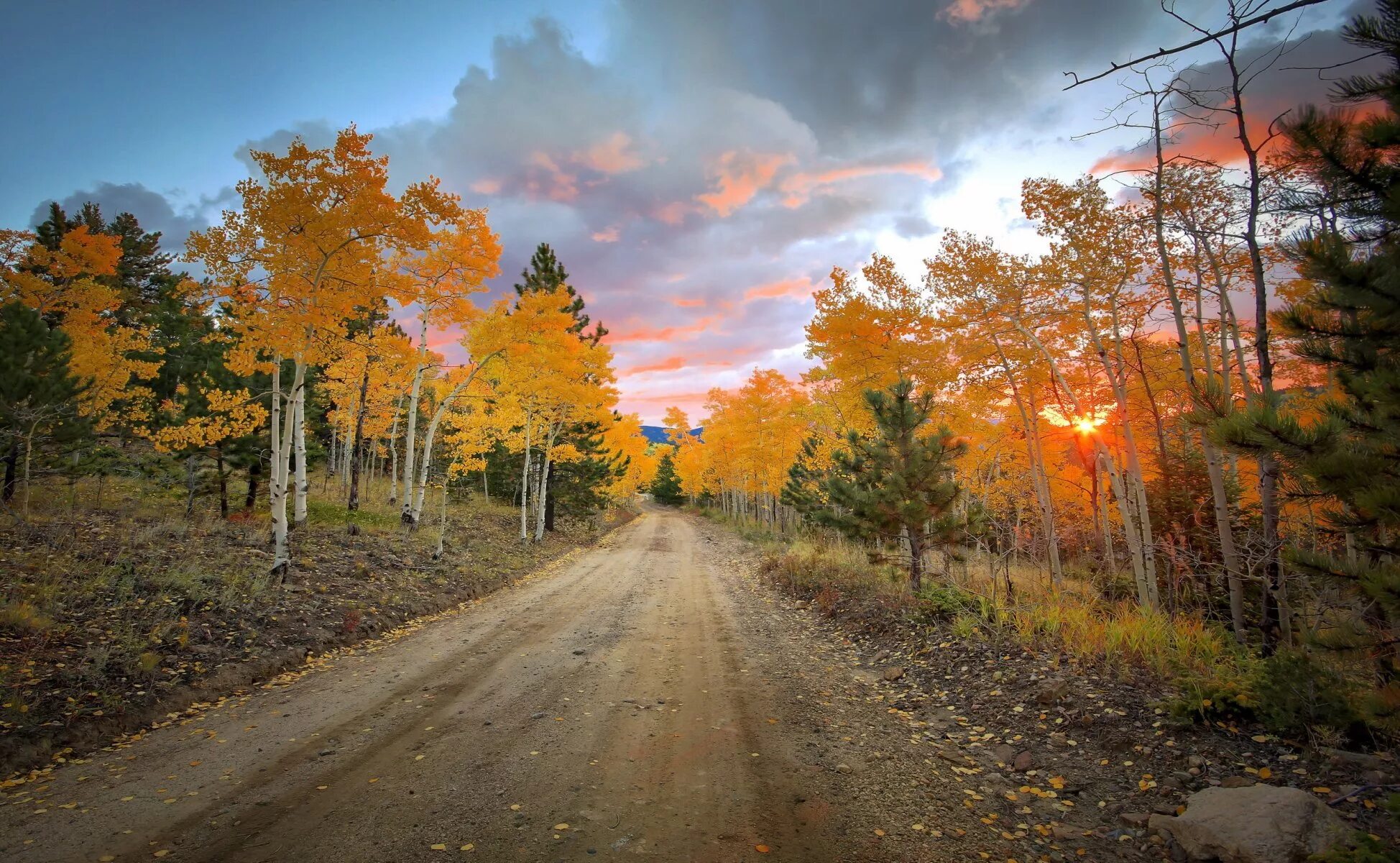 Круг по осенней дороге домой. Осенняя дорога. Дорога в осень. Осенняя дорога в лесу. Осенний пейзаж с дорогой.