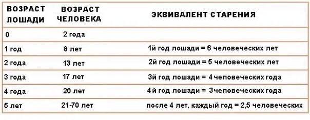 Возраст лошади по человеческим меркам. Лошадиный Возраст на человеческий. Таблица возраста лошади. Соотношение возраста лошади и человека.