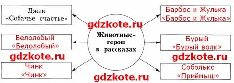 Заполни схему животное