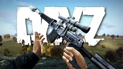Dayz gun