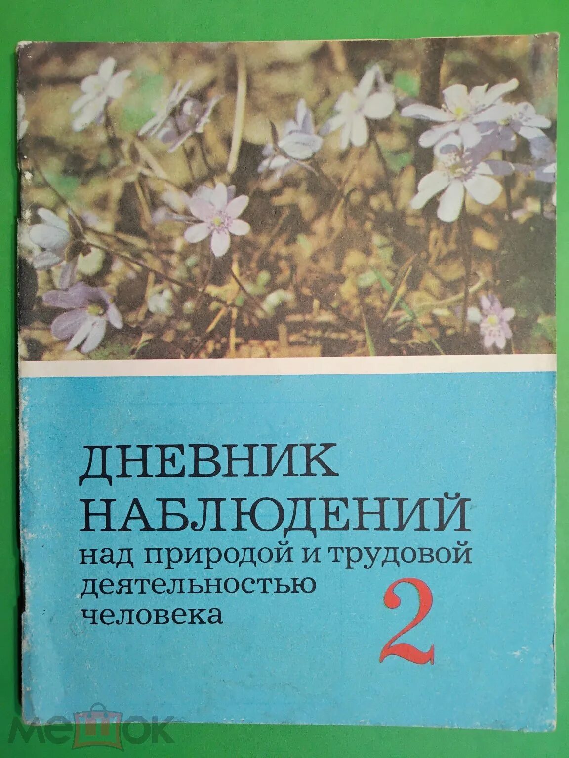 Наблюдения в природе 5 класс