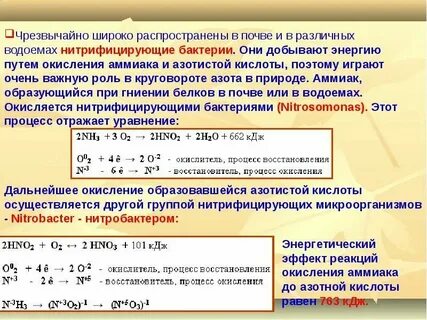 Каталитическое разложение аммиака реакция