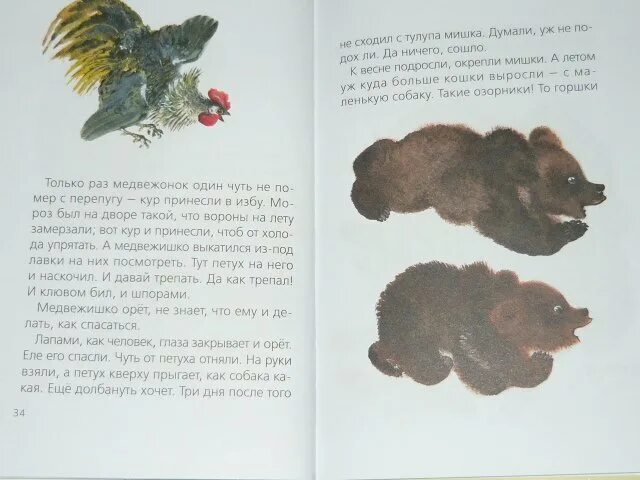 Чарушин содержание книг. Биография чарушина кратко. Е и чарушин биография. Олешки рассказ чарушина. Герои рассказов чарушина.