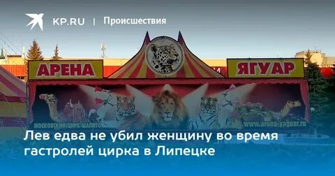 Цирк в липецке