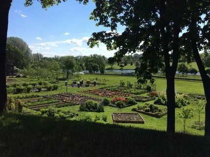 Санкт петербург огороде
