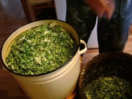 Крошево из зеленых листьев капусты на зиму
