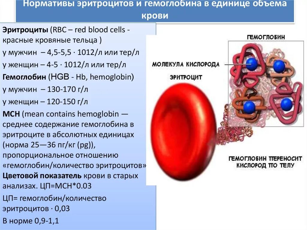 Что значат эритроциты в крови. Кол во эритроцитов в крови человека. RBC эритроциты. Норма гемоглобина и эритроцитов. Изменение количества эритроцитов.