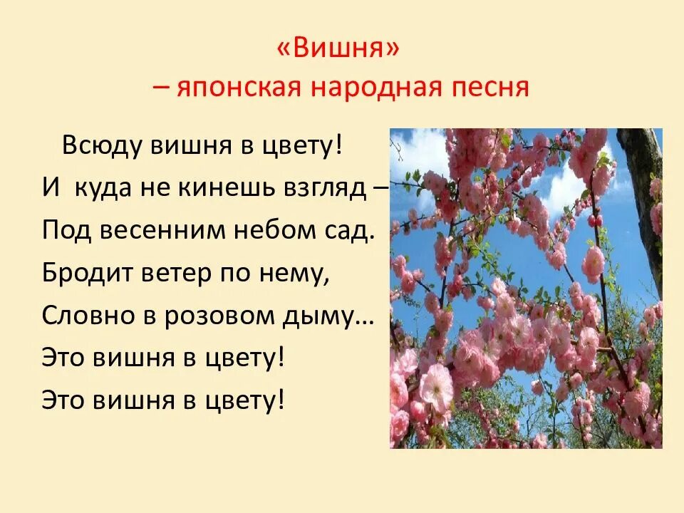 Вишня белая песня минус. Японская народная песня вишня. песня вишня японская народная песня. вишня японская народная песенка. вишня текст.