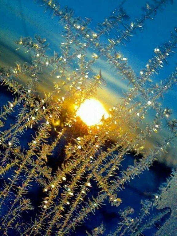 снег искрится. все сияет все искрится. солнце сияет. снежинки падают. сверкающий снег.