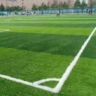 Газон сколько