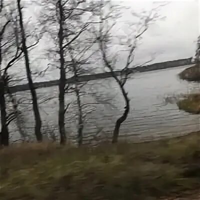 Погода борисово ленинградская