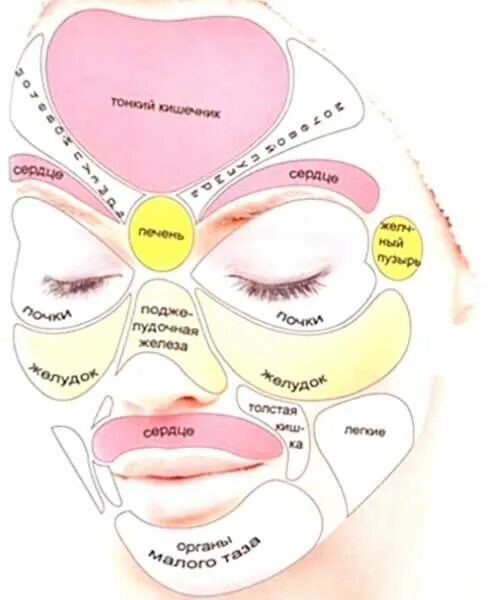 За какие органы отвечают прыщи на лице. Прыщи и органы. Прыщи на лице по зонам причины.