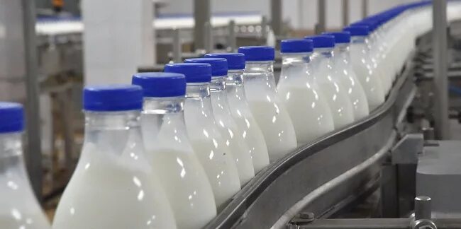 пищевая и перерабатывающая промышленность. пищевая и перерабатывающая промышленность. пищевая промышленность омска. пищевая промышленность омска. цеха по изготовлению хлебобулочных изделий.