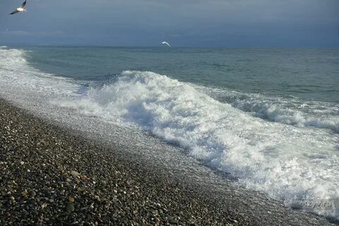 Морская погода адлер