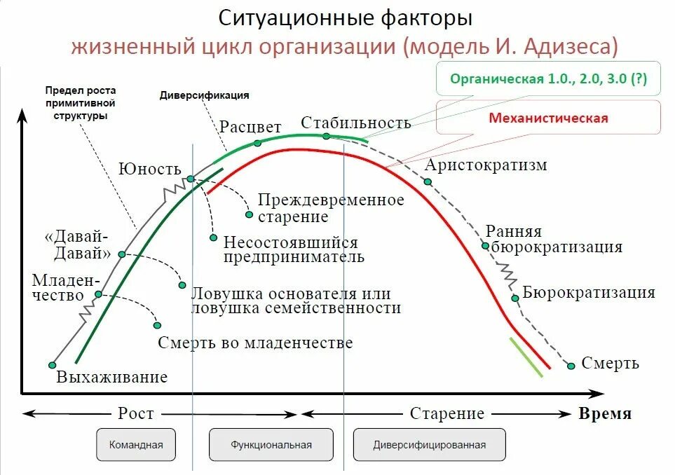 Этапы развития жизненного цикла организации. Фазы жизненного цикла фирмы. Стадии жизненного цикла компании. Стадия (фаза) жизненного цикла предприятия. Основные факторы модели