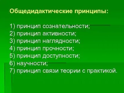 Принципы обучения русскому языку