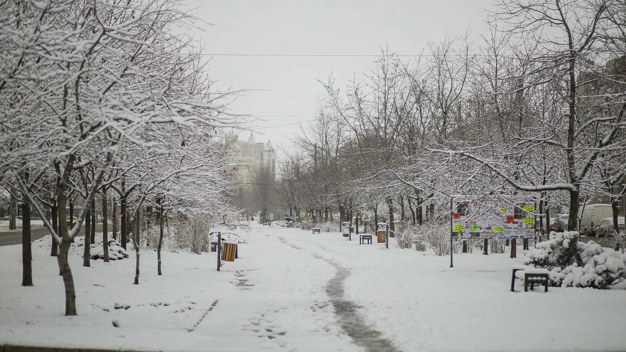 Климат Кишинева. Зима в Молдове. Природа зимой в Молдове. Молдавия климат зимой.
