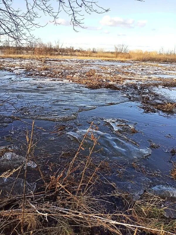 Погода в староаннинской