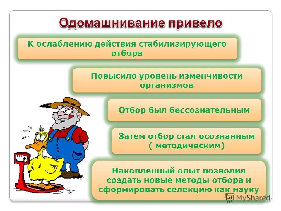 Адаптация как результат естественного отбора. Естественный отбор в эволюции человека. Социально движущие силы антропогенеза. Почему человек способен ослабить воздействие естественного отбора. Круговорот веществ в агроценозе.