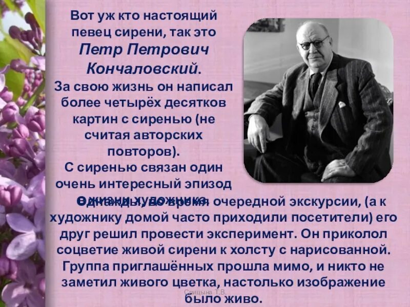 Произведение сирень краткое содержание. Сочинение на картину сирень в корзине. Сочинение по картине сирень в корзине. П Кончаловский сирень в корзине сочинение.