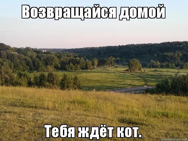 возвращай домой. зарубежная классика. возвращай домой. возвращай домой. домой возврата нет вулф книга.