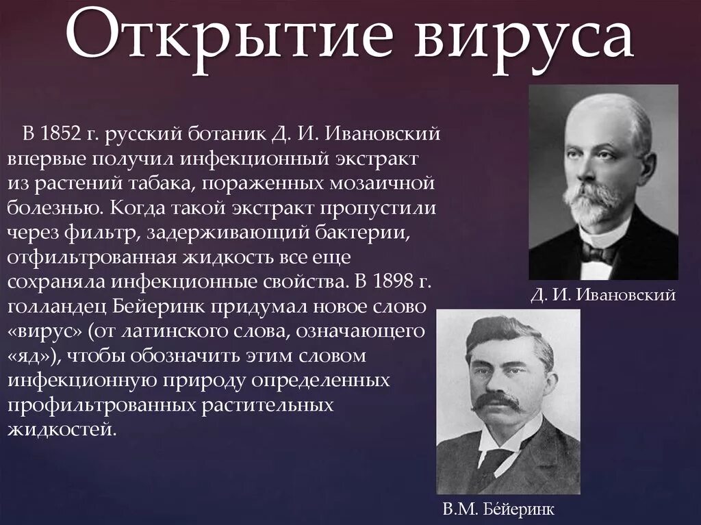 В каком году был открыт. История открытия вирусов. Кто открыл вирусы. Учёный открывший вирусы. История открытия вирусов кратко.