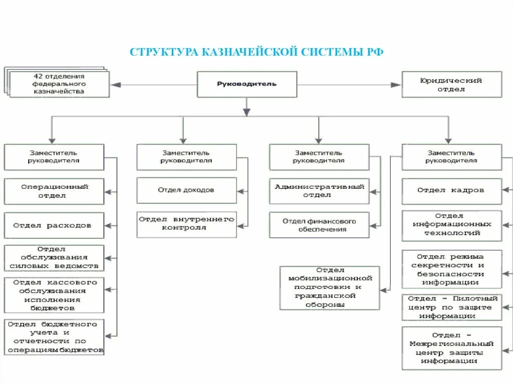 Казначейство США структура. Казначейская система структура. Организационная структура казначейства. Структура государственной казначейской системы.