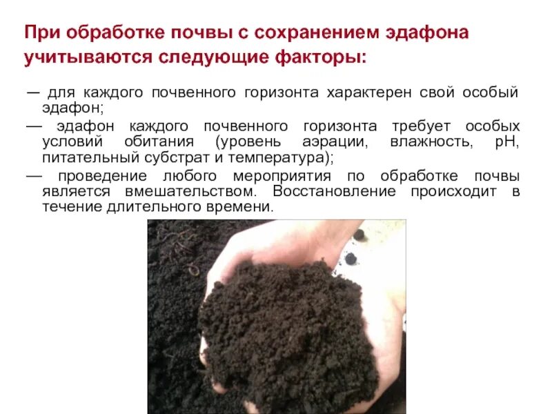 Сохранения почв мероприятия. Сохранение почвы. Природные ресурсы почвы. Эдафон почвы это. Обработанная почва.
