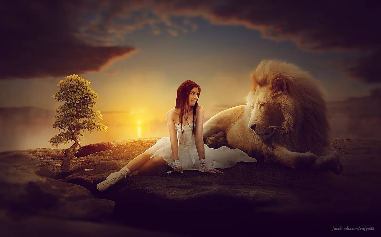 Женщина Лев. Девочка и Лев. Девушка львица. Фотосессия со львом.