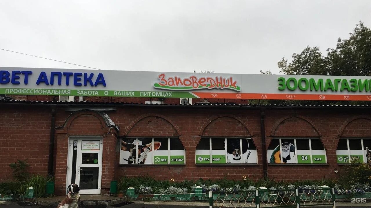 Белинского 112. Екатеринбург, улица белинского, 112а. Приют црж екатеринбург. Неовит ветеринарная клиника белинского. Заповедник екатеринбург зоомагазин.