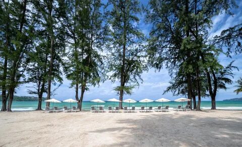 Amora beach отзывы