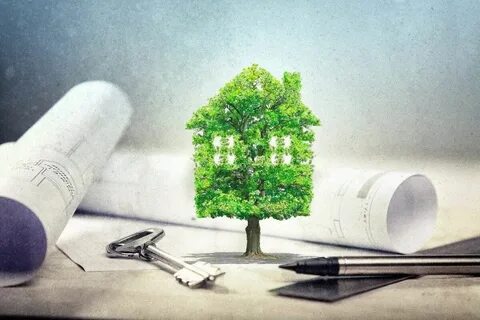 Проектные работы экология