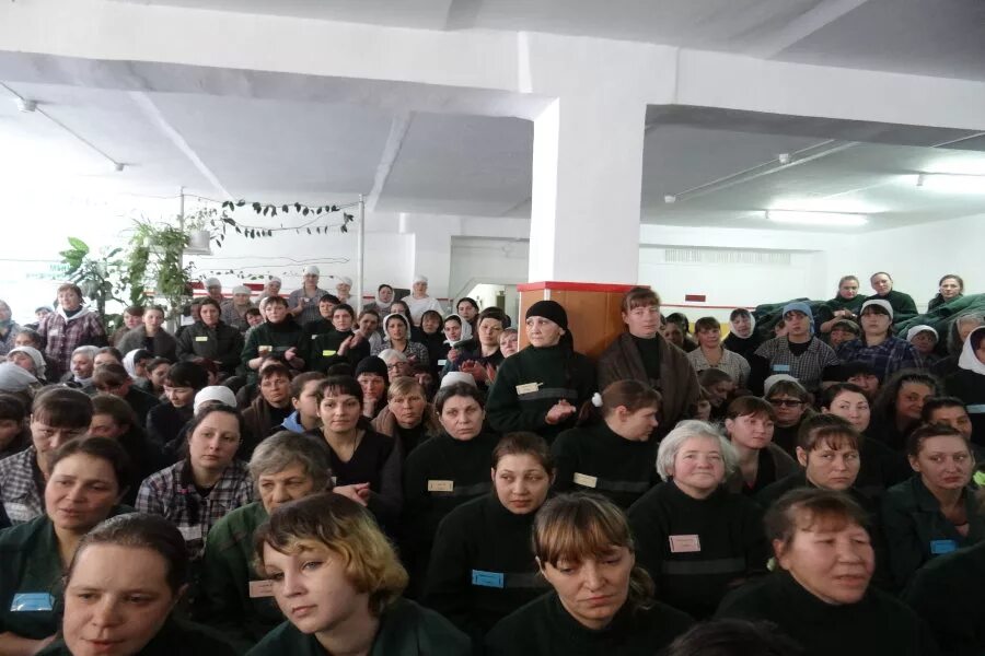 Колония 9 цивильск. Пфрси ик 9 петрозаводск. Фку ик-9 уфсин россии по калининградской. Фку 9. Ик 9 омск.